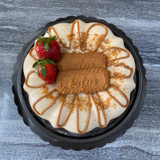 Lotus nutela (medium )